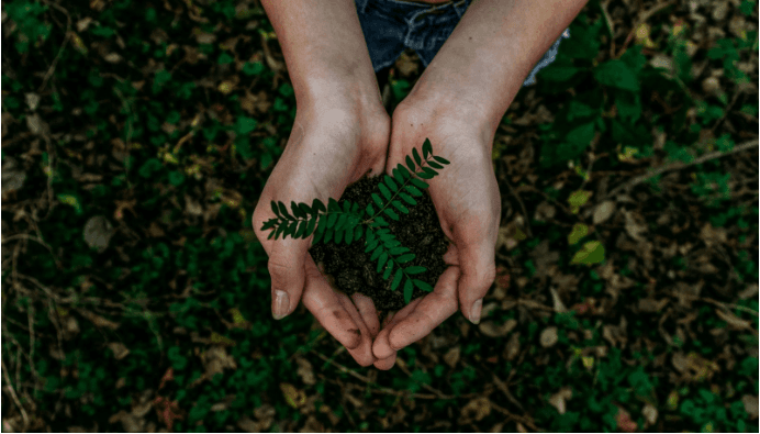 A girl holding a plant