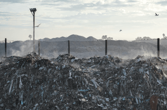 Dumpyard